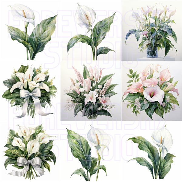 Clipart Flower, Watercolor Flower, Peace Lily Clipart, Digital Flowers, Commercial Use, Flower Border, Peace Lily Bouquet, PNG Flower Bundle