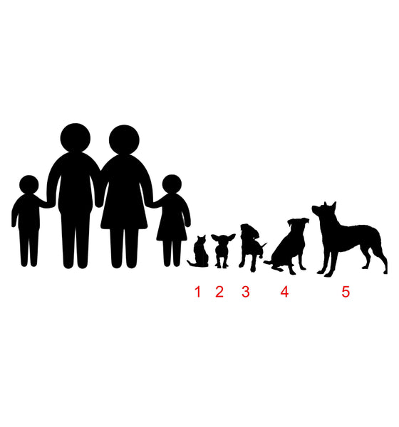 Car family decal, family pet decals, family pet decal, personalized sticker for car, family car stickers