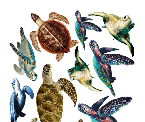 Sea turtle wall decals, fabric wall decals, 16 tropical turtle stickers, watercolor sea turtle decals, sea turtle decor