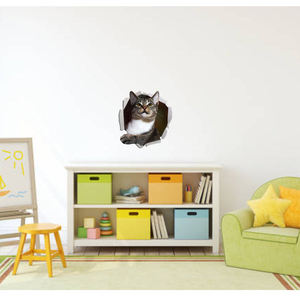 3D Wall Decal, Cat In Hole Decal, Funny Wall Sticker, Kids Room Decal, Wall Decal