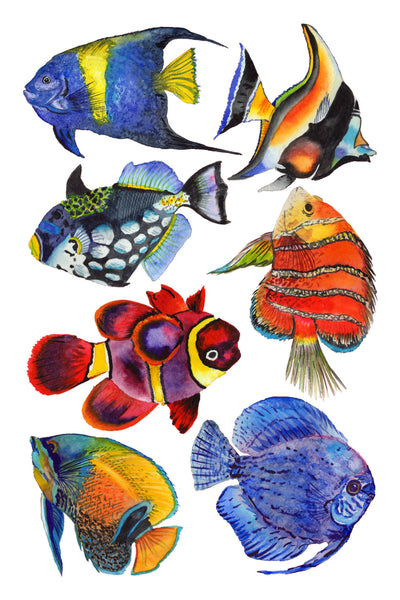 Tropical Fish Wall Decals, Removable Wall Decal, Tropical Decor, Fabric Wall Stickers, Coastal Decor