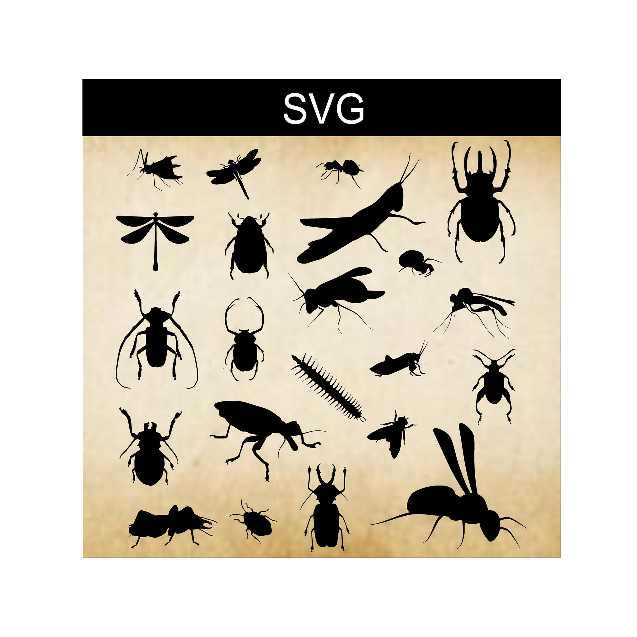SVG Insect Bundle, Bug Silhouettes, Digital Clip Art, Digital Insect Bugs, Sublimation