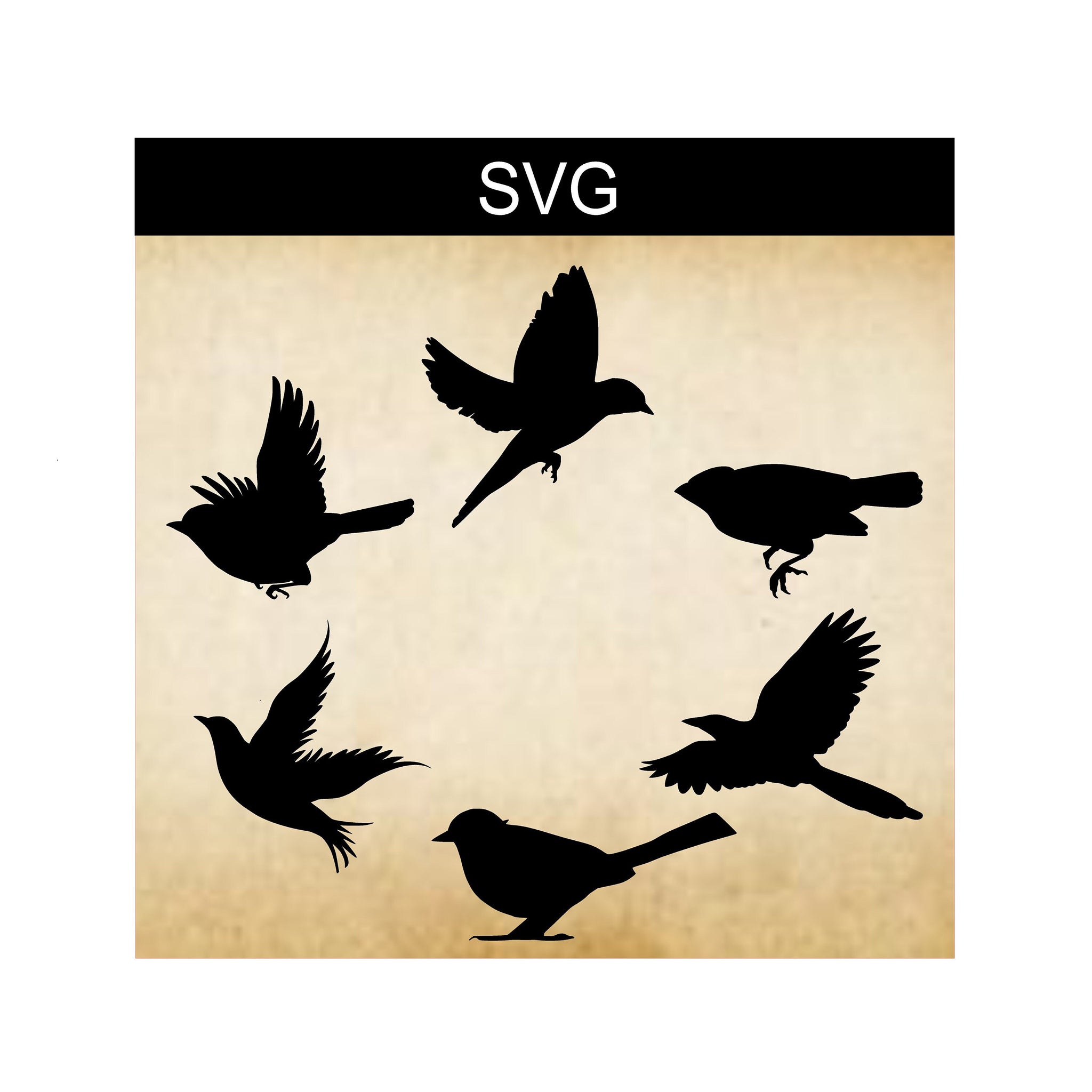 SVG Bird Bundle, Digital Birds, Digital Clip Art, Digital Download, Sublimation