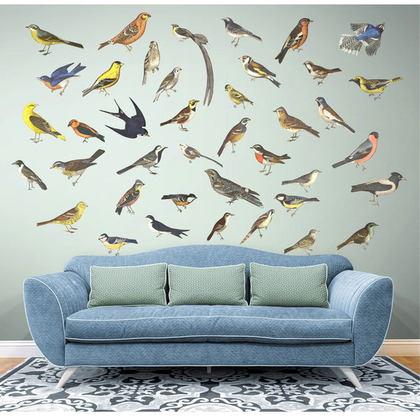 Bird Wall Decals, Vintage Bird Sticker, Bird Wall Decor, Bird Lovers Gift